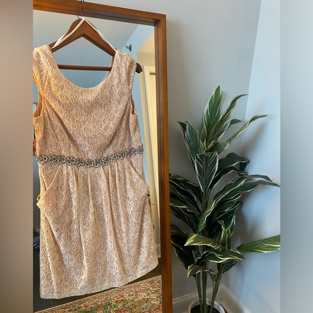 Size 16 Blush Lace Dress